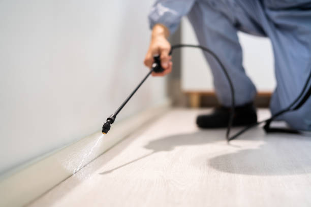 Licensed Pest Control service in Homewood, SC - Show Me Pest Control