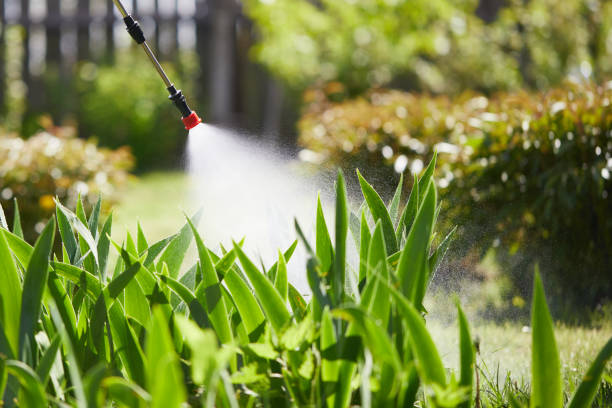 Tamper-Resistant Bait Stations for Rodents in Homewood