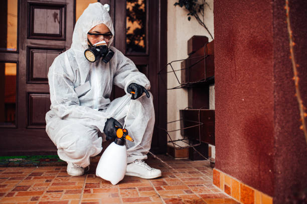 Attic and Crawl Space Rodent Treatment in Homewood