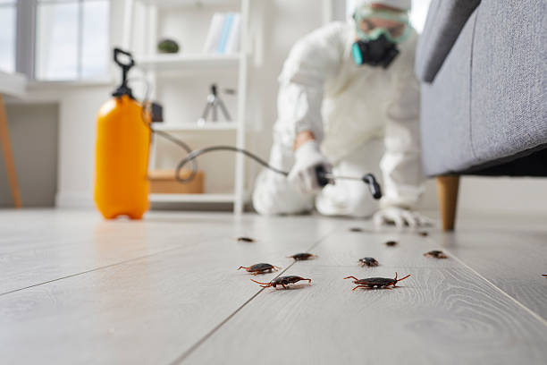 Commercial Rodent Management in Homewood